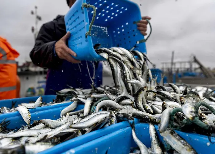 度假居 Bali Casa Da Ilha