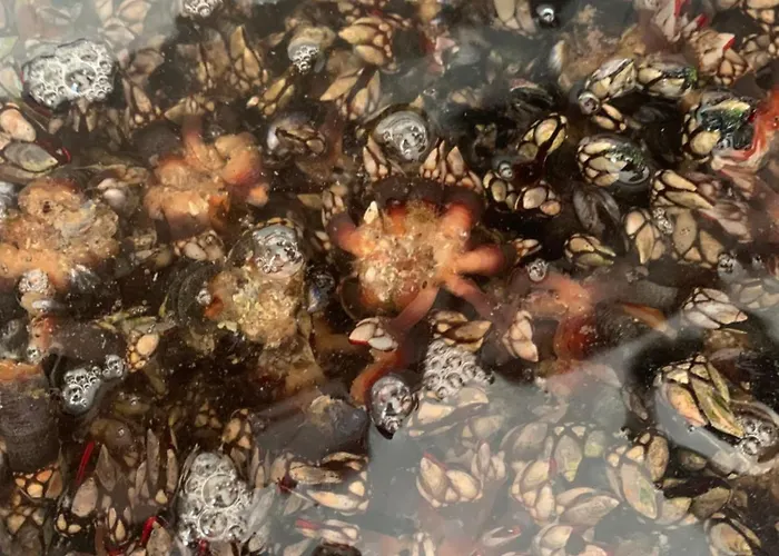 Bali Casa Da Ilha 度假居